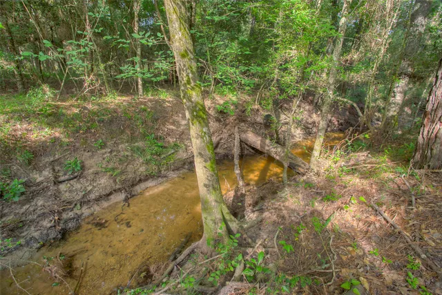 a backyard of a building