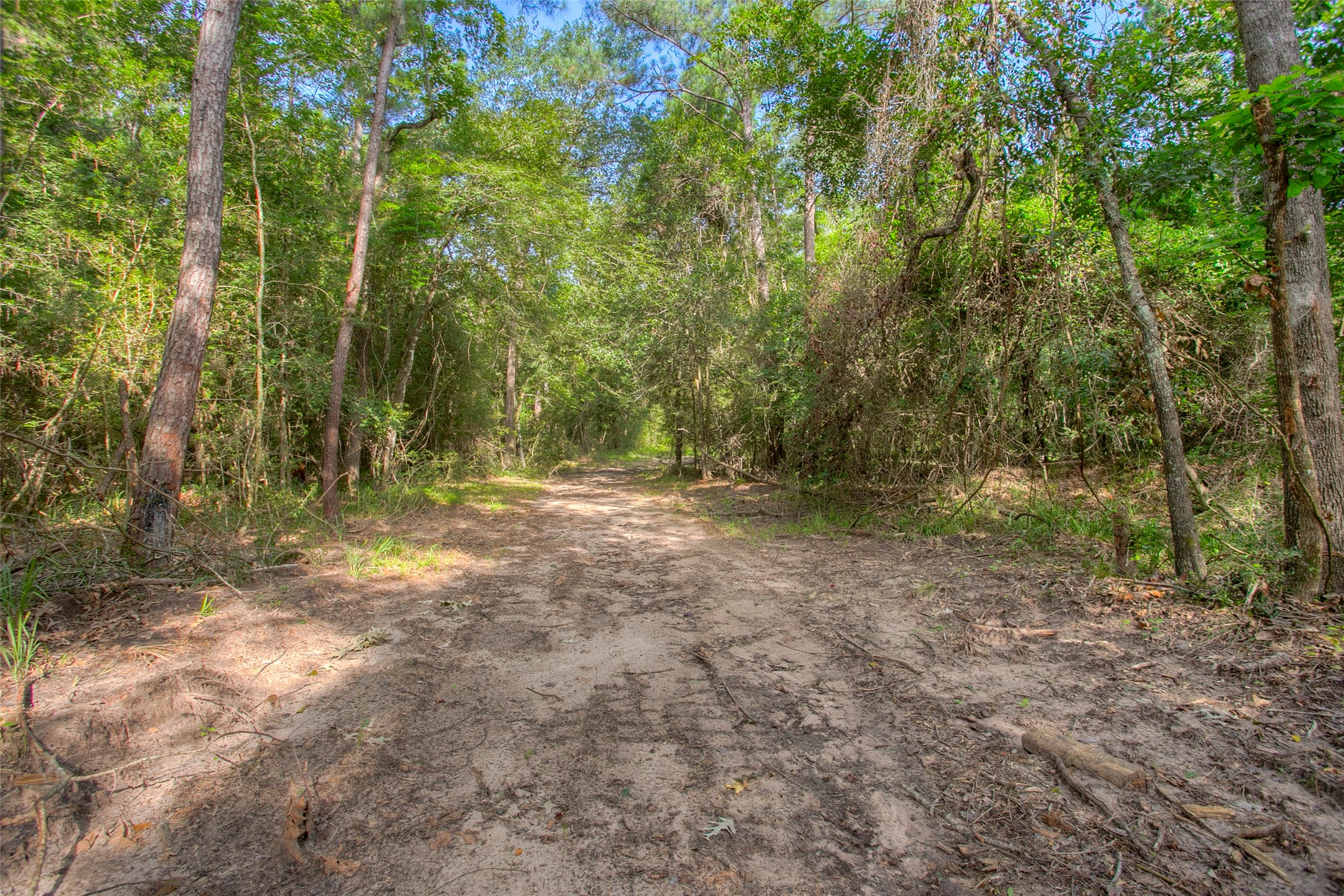 Tbd Dahlia Road Huntsville, TX 77320 - Photo 10 of 20