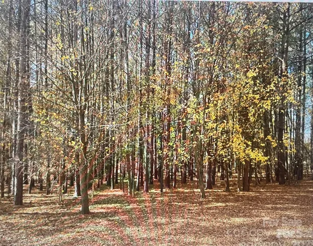 $4,000,000 | 14818 Hooks Road, Matthews, NC 28105