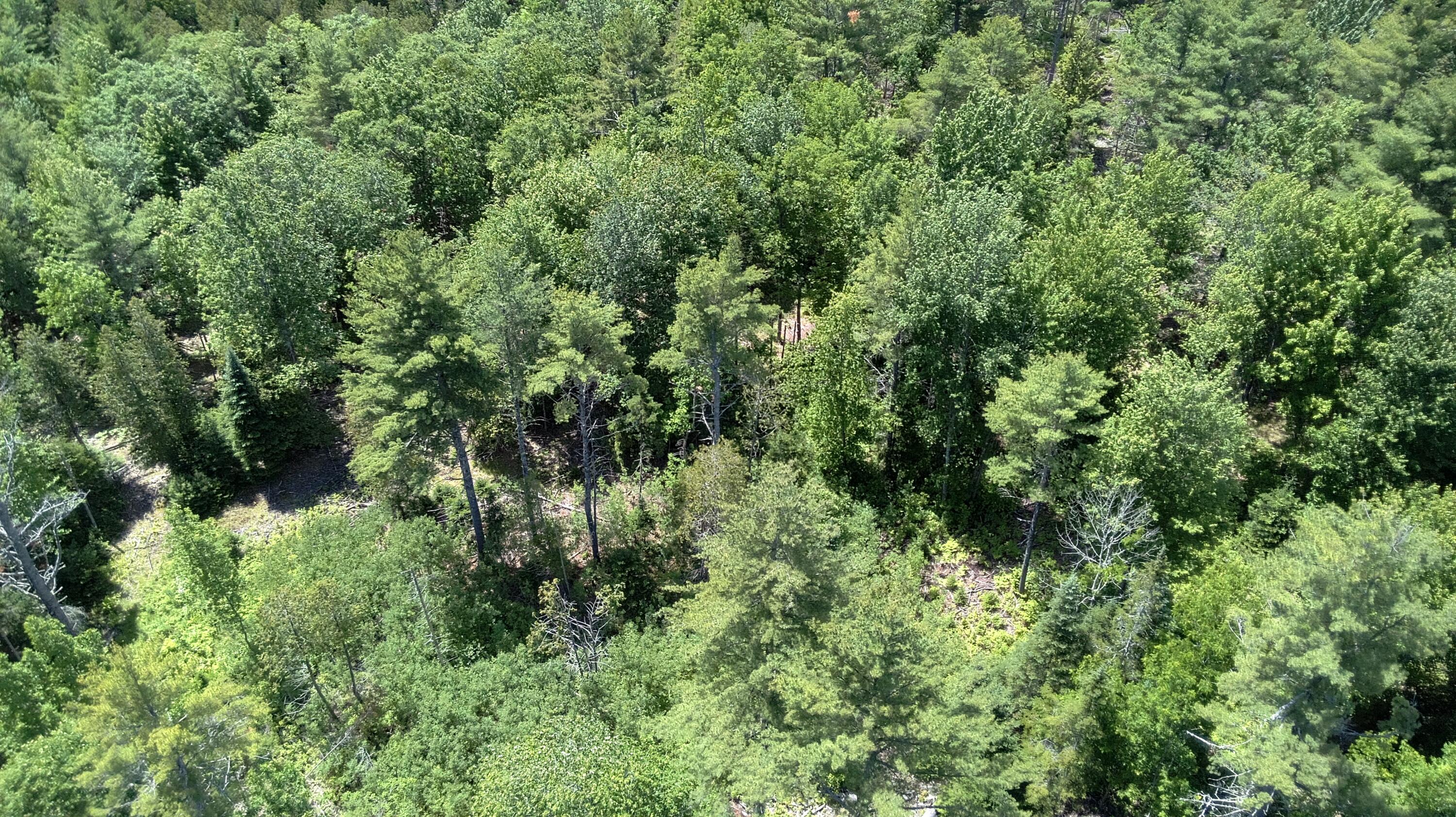 5 Fickett Road Etna, ME 04434 - Photo 15 of 23