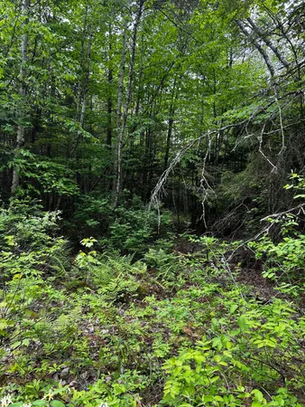 $42,000 | Lot 9-4 Lilly Drive, Newport, ME 04953