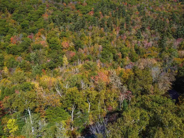 $975,000 | 137 Reservoir Road, Unit D28, Campton, NH 03223