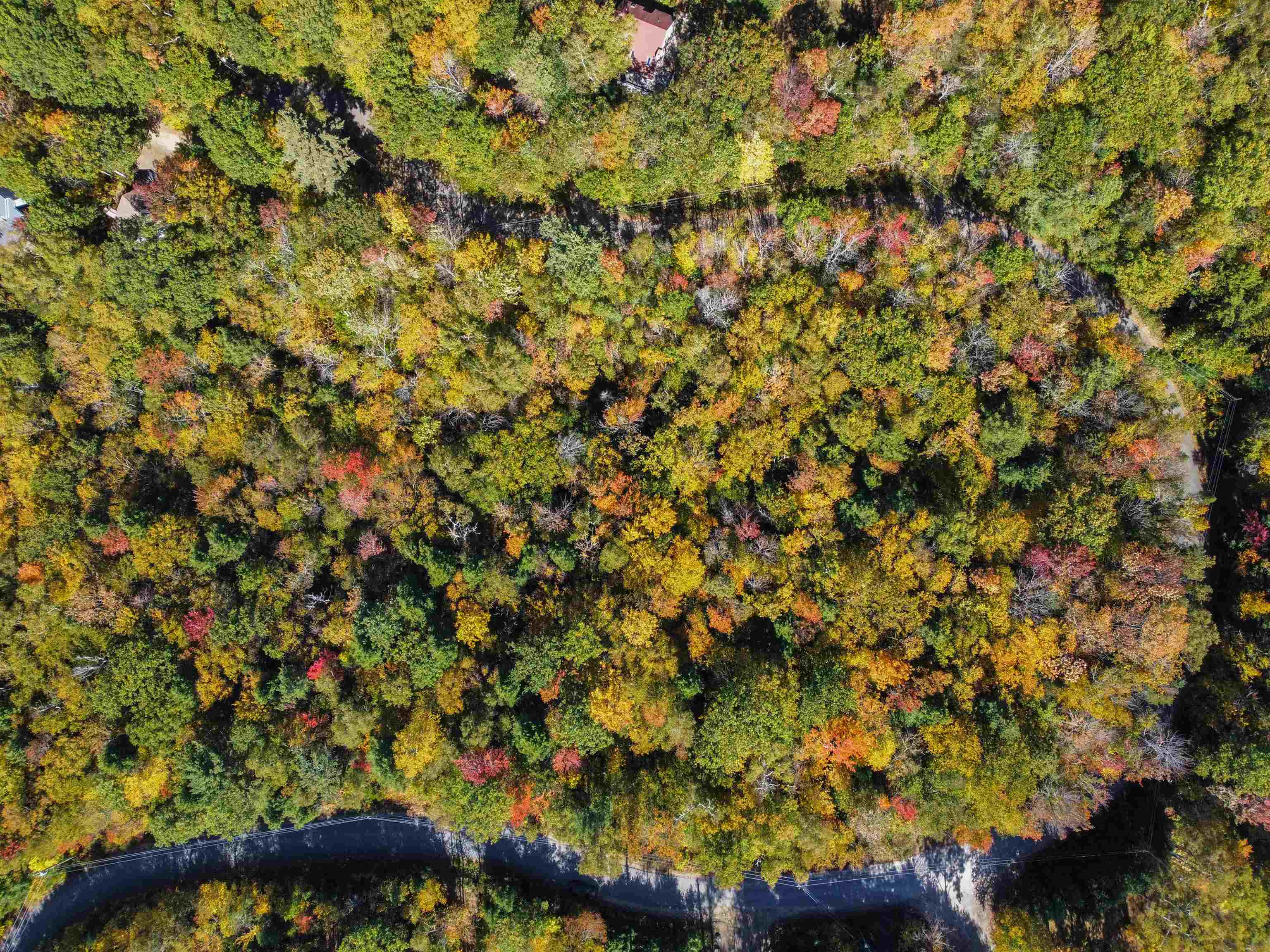 137 Reservoir Road, Unit D28 Campton, NH 03223 - Photo 27 of 31