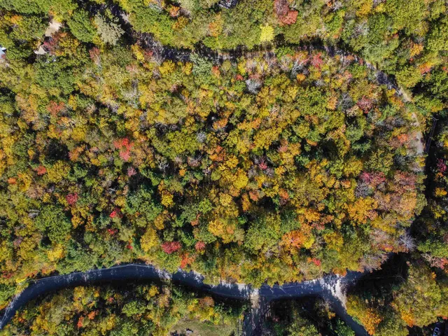 $975,000 | 137 Reservoir Road, Unit D28, Campton, NH 03223