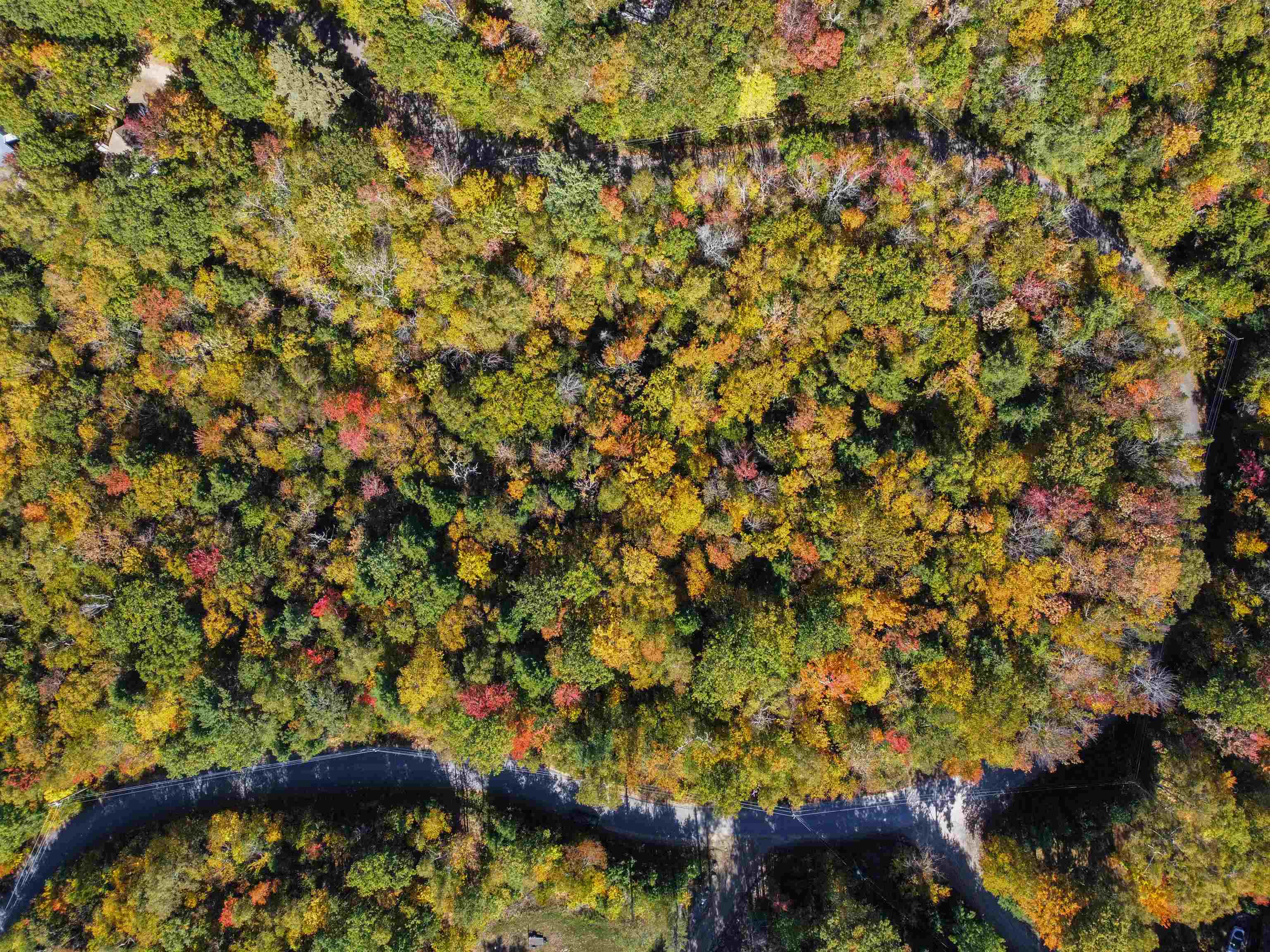 137 Reservoir Road, Unit D28 Campton, NH 03223 - Photo 28 of 31