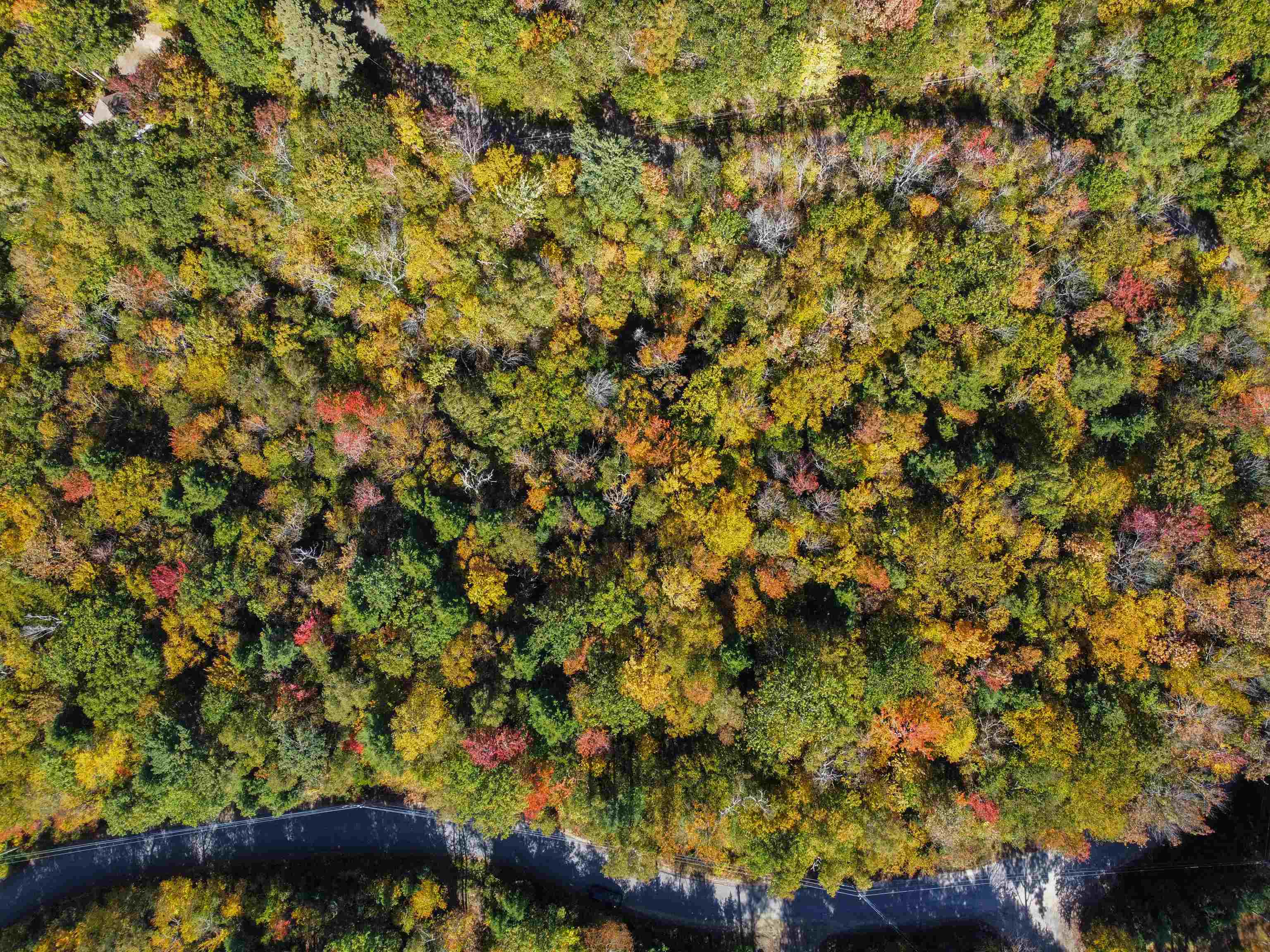 137 Reservoir Road, Unit D28 Campton, NH 03223 - Photo 29 of 31