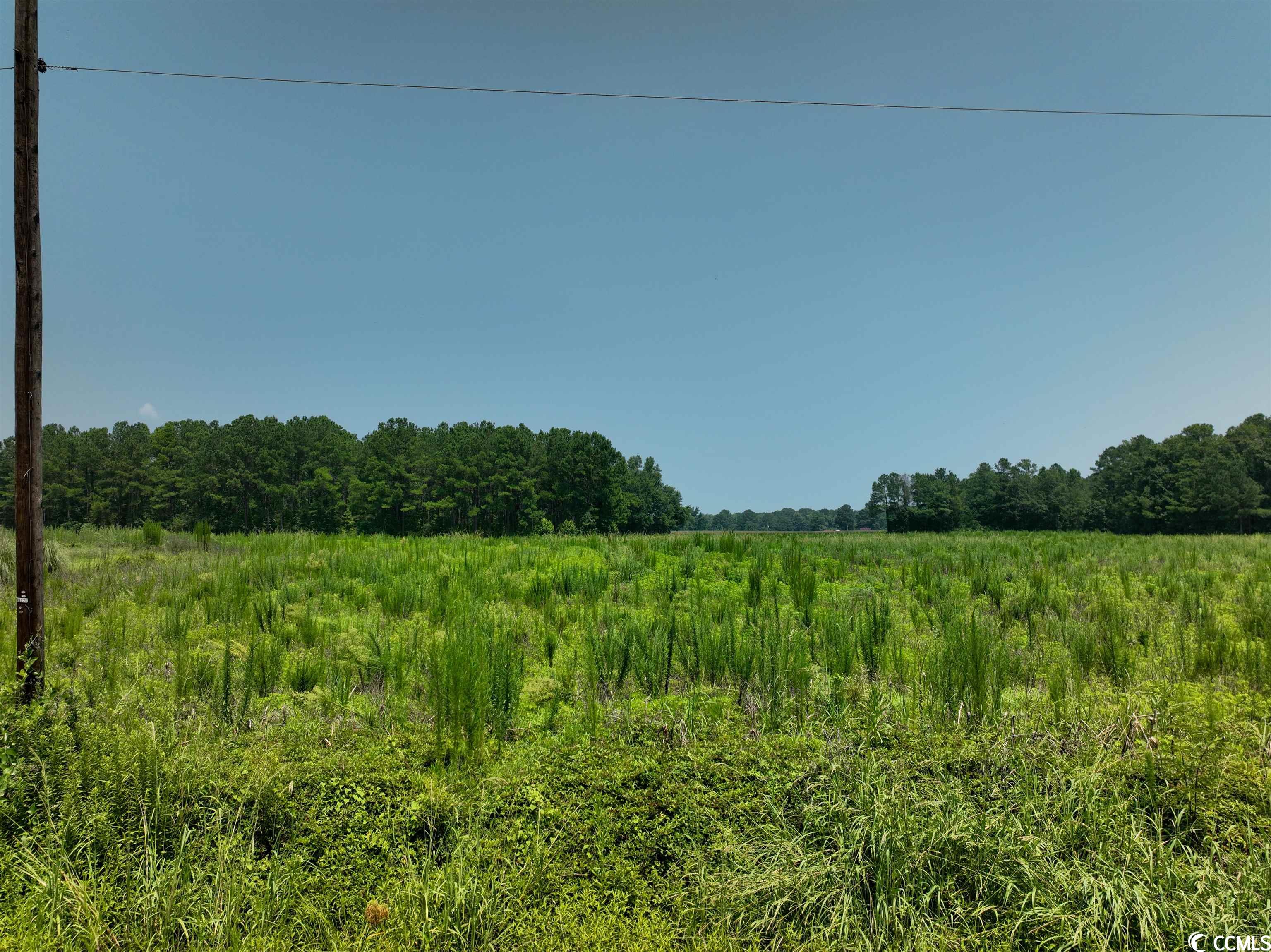 Tbt Sonny Road Gresham, SC 29546 - Photo 3 of 7 Gallery Image 3