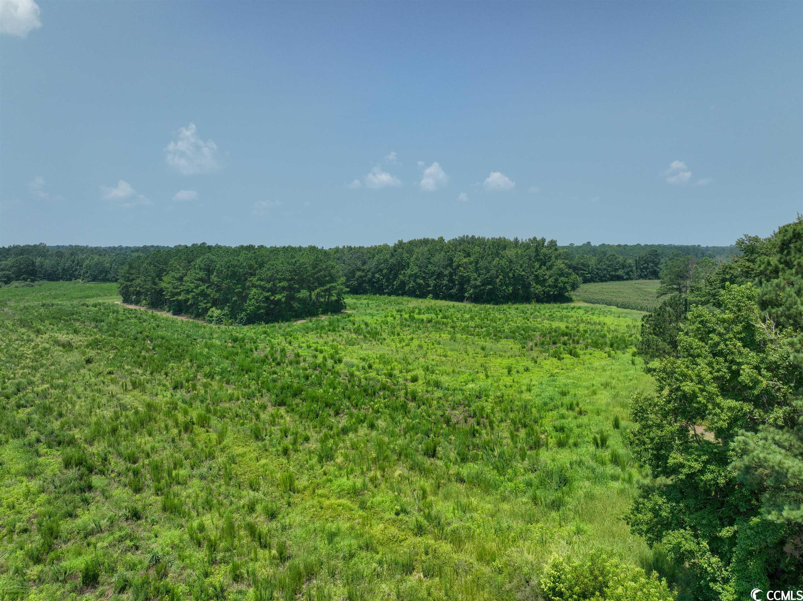 Tbt Sonny Road Gresham, SC 29546 - Photo 4 of 7 Gallery Image 4