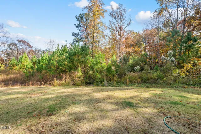 a view of outdoor space with trees all around