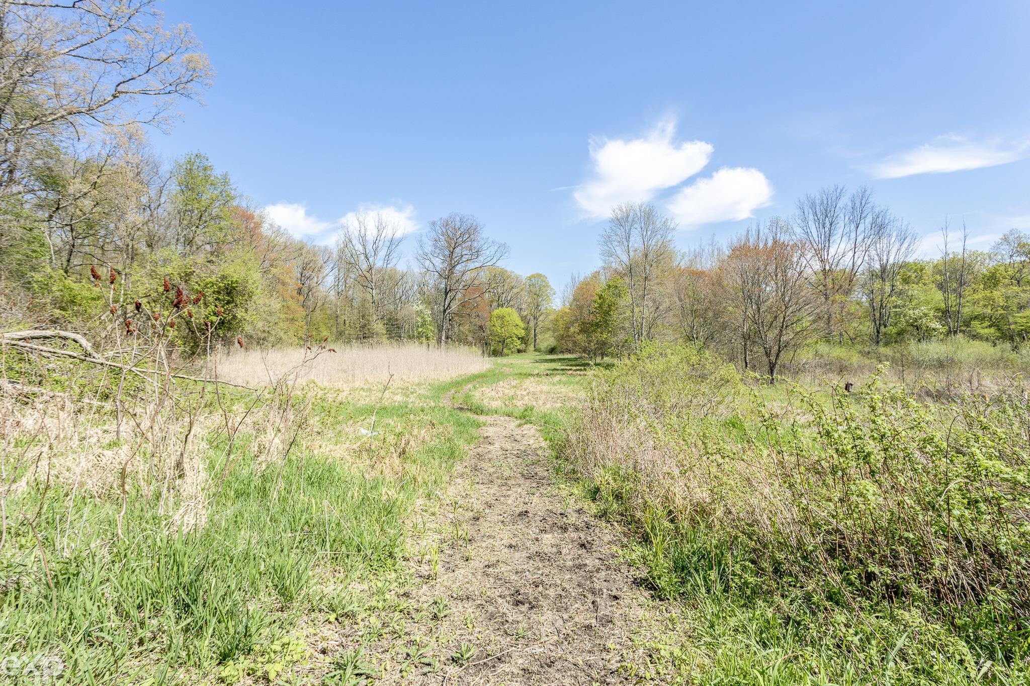 7510 Sparling Road Goodells, MI 48027 - Photo 6 of 33 50108546-5.JPG