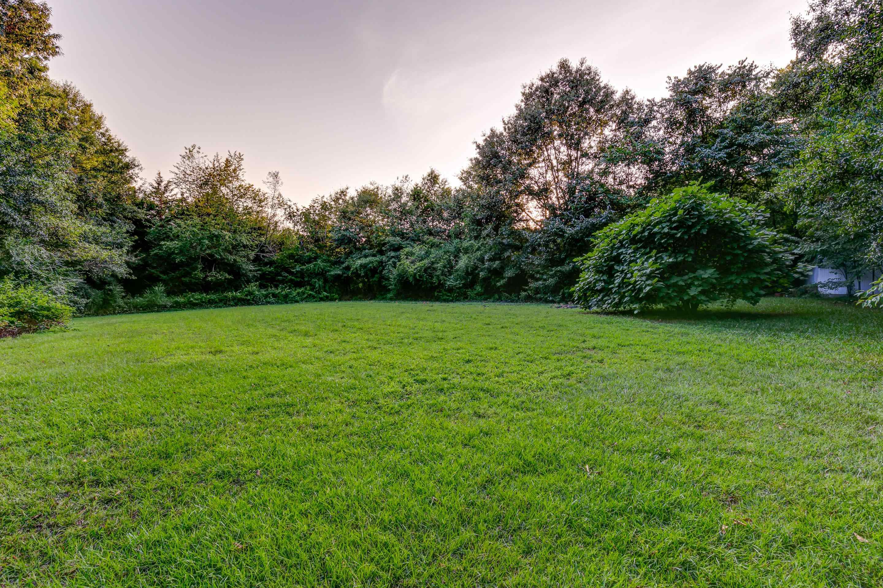 2310 Woodruff Road Simpsonville, SC 29681 - Photo 12 of 23 Gallery Image 12