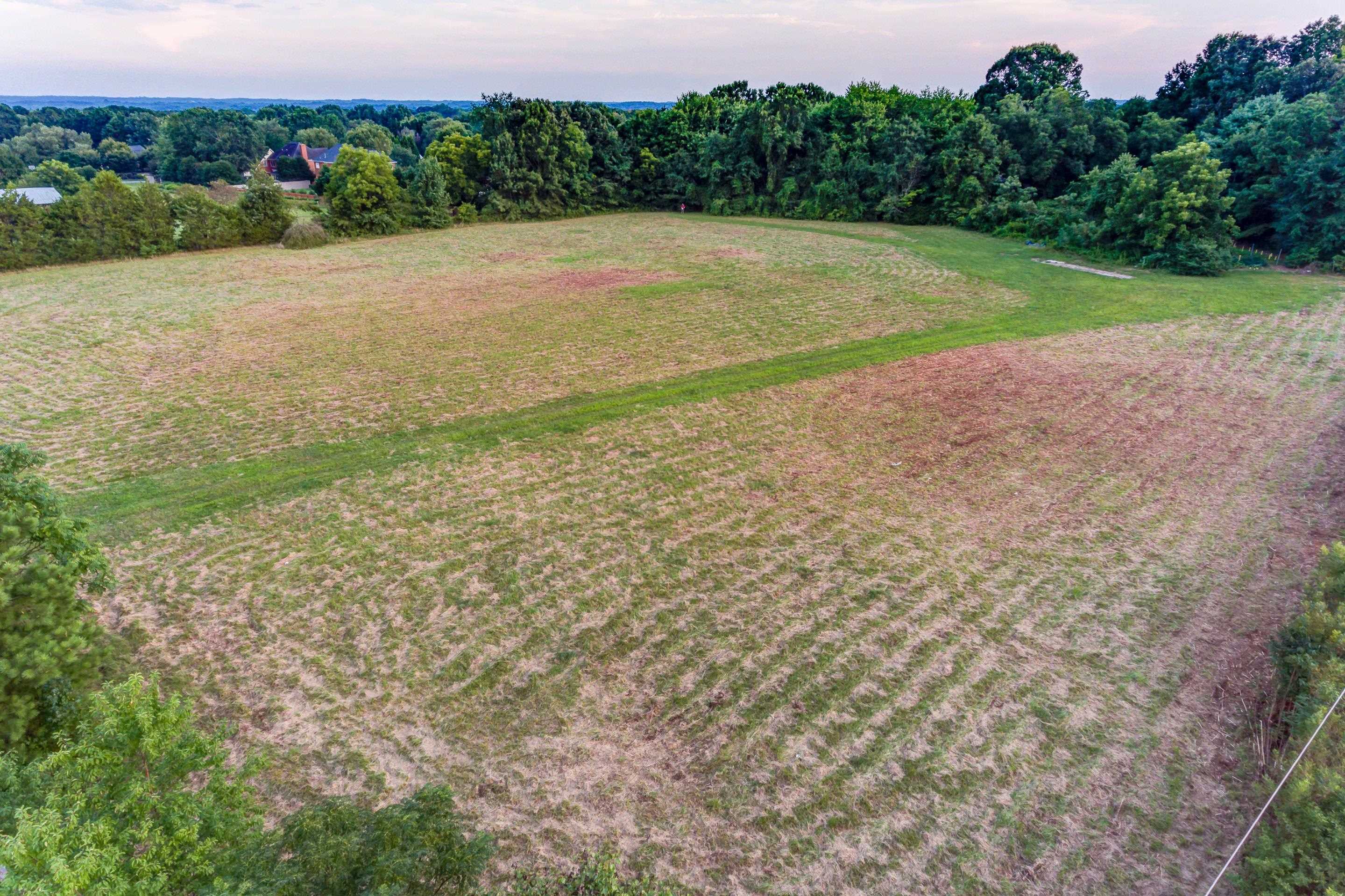 2310 Woodruff Road Simpsonville, SC 29681 - Photo 18 of 23 Gallery Image 18