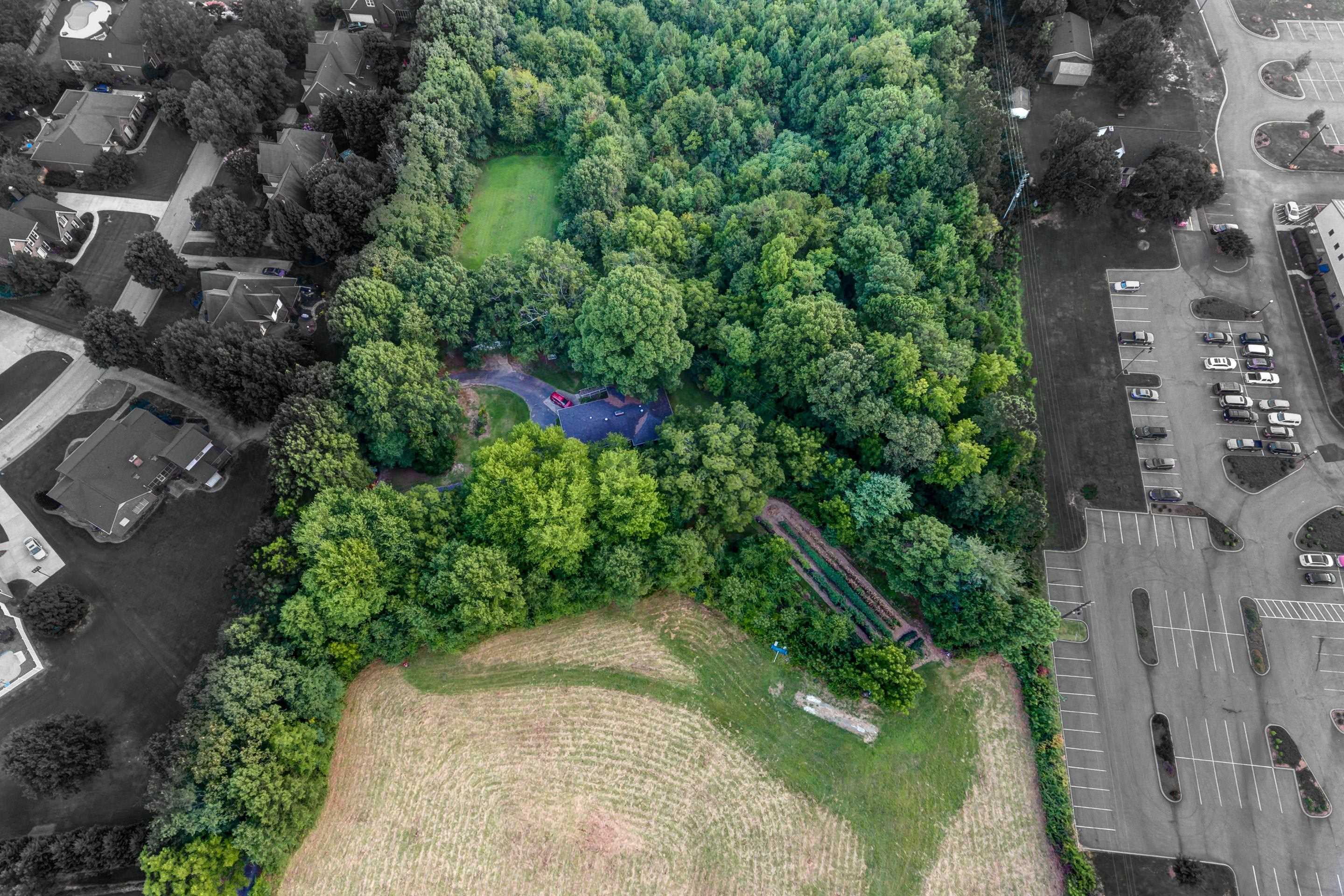 2310 Woodruff Road Simpsonville, SC 29681 - Photo 19 of 23 Gallery Image 19
