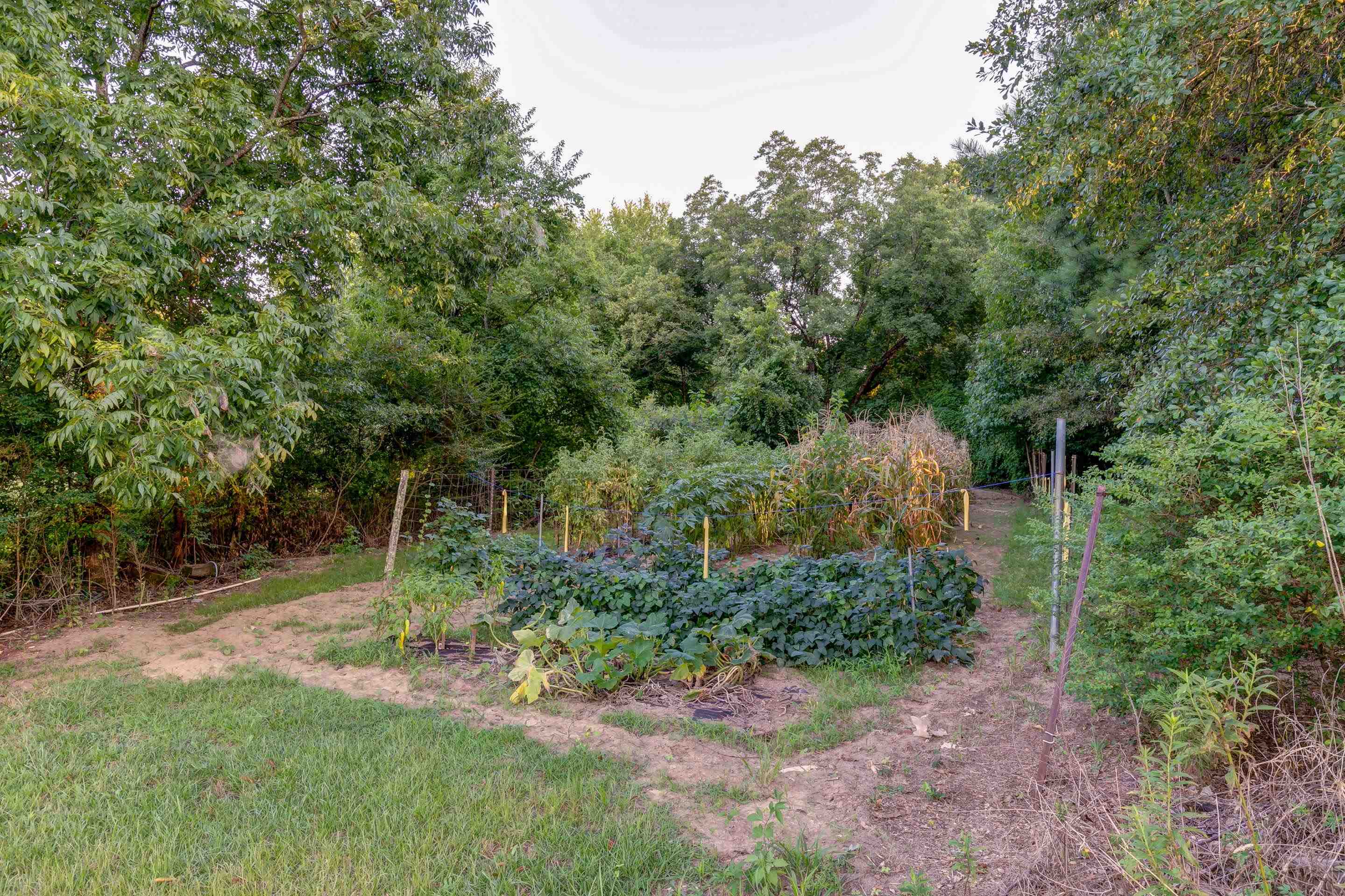 2310 Woodruff Road Simpsonville, SC 29681 - Photo 7 of 23 Gallery Image 7