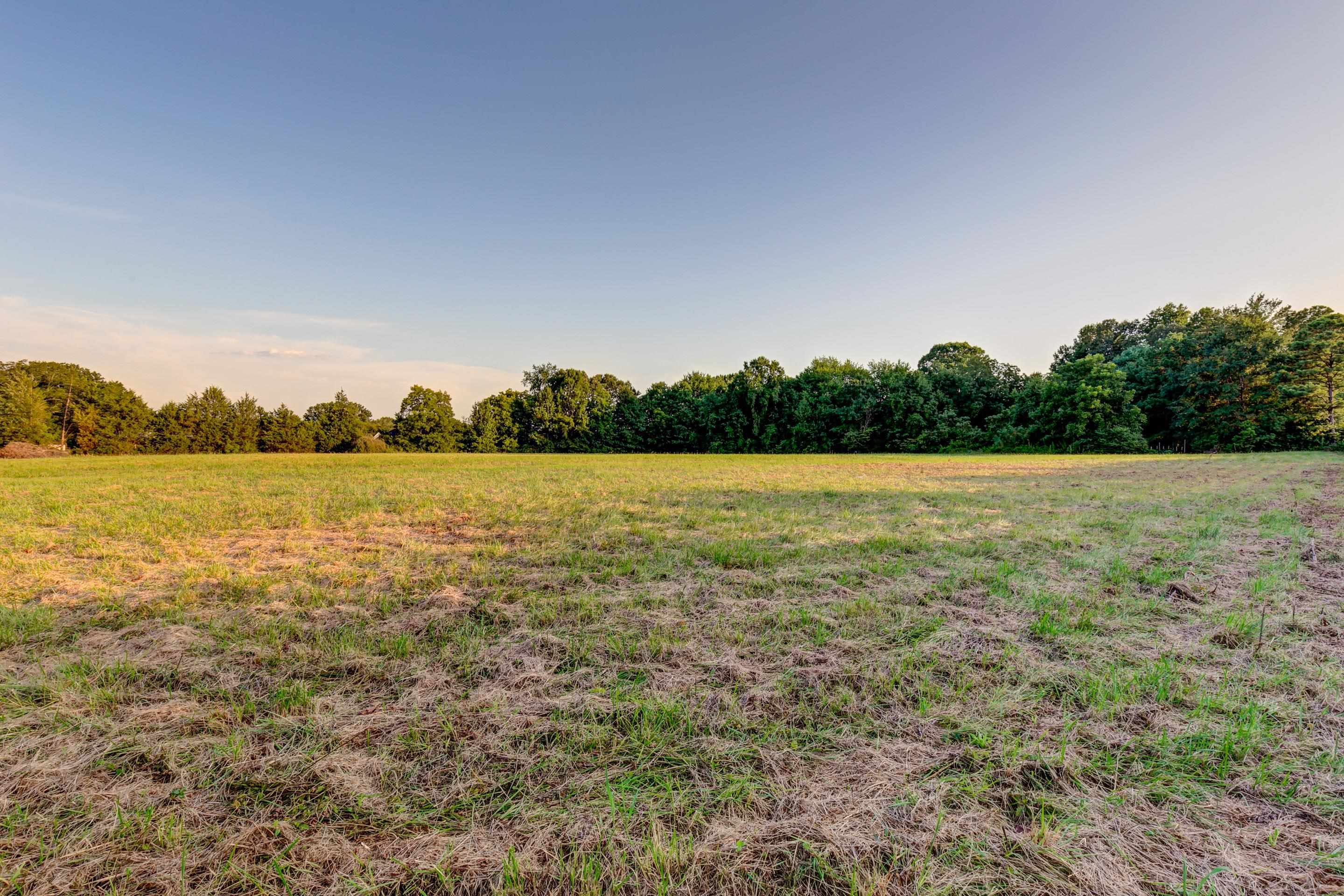 2310 Woodruff Road Simpsonville, SC 29681 - Photo 8 of 23 Gallery Image 8