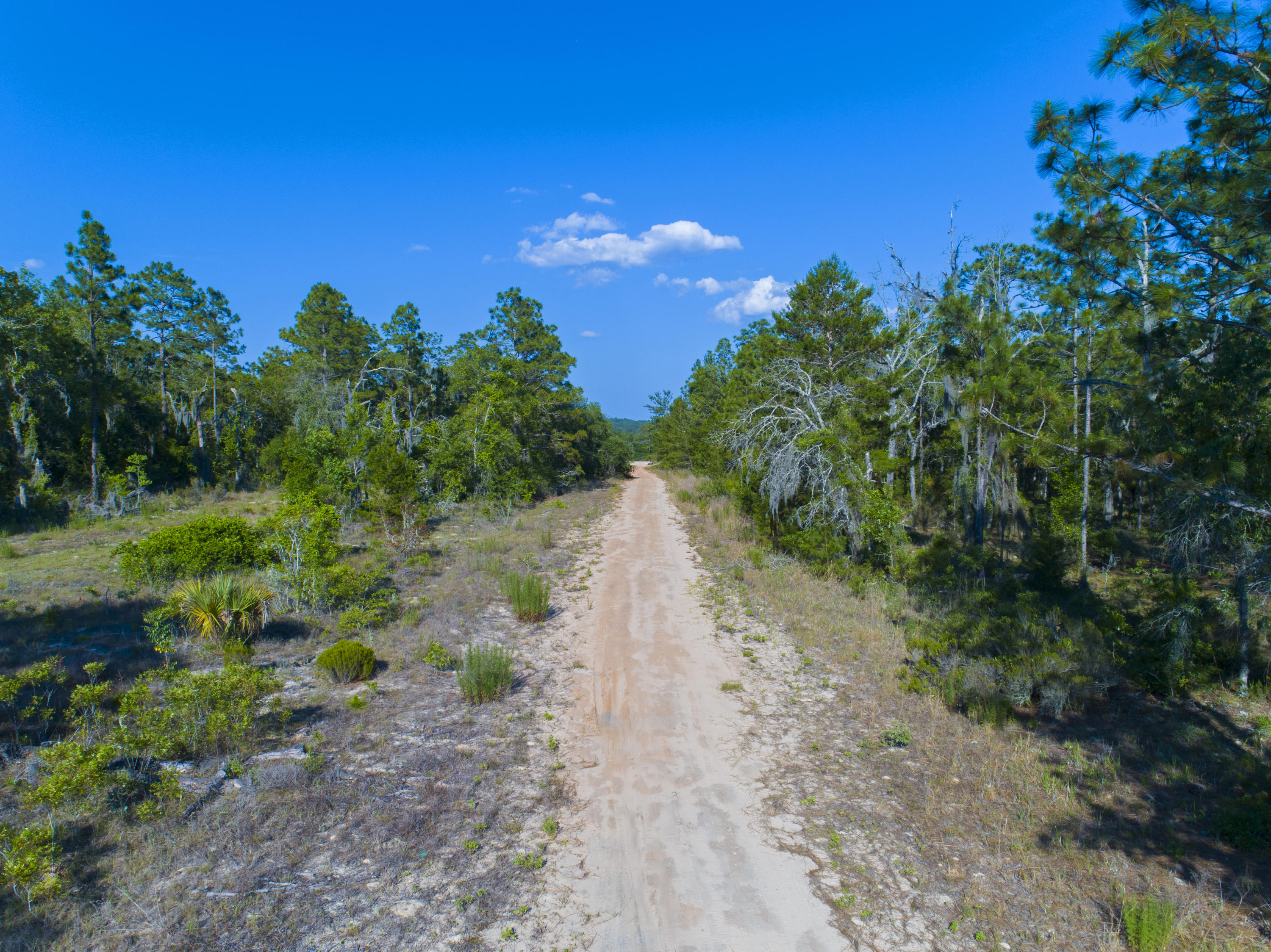 Tbd Torres Road Hawthorne, FL 32640 - Photo 2 of 8 DJI_0049a