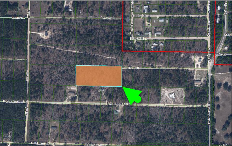 Tbd Torres Road Hawthorne, FL 32640 - Photo 6 of 8 4-22-2021 6-53-42 AM