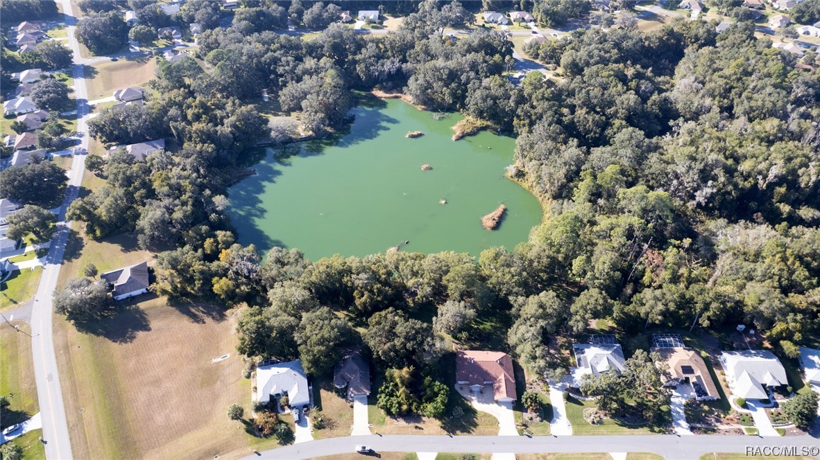 2864 North Kittery Point Hernando, FL 34442 - Photo 6 of 11