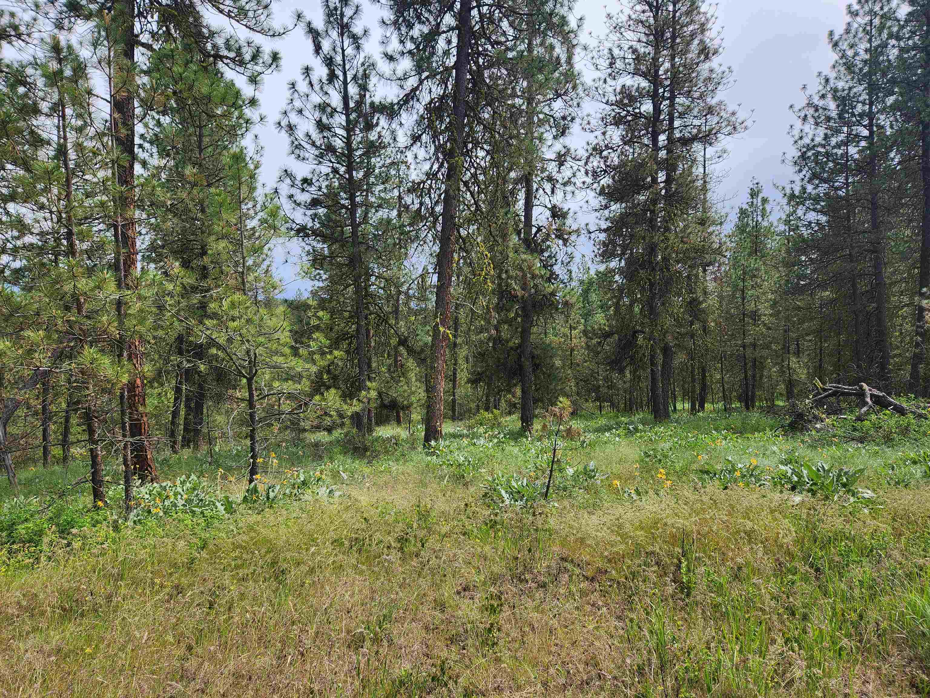 6269 Miller Mountain Road Fruitland, WA 99129 - Photo 10 of 10