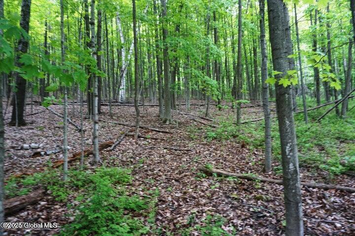 L26 West Fulton Road Warnerville, NY 12187 - Photo 6 of 15 W Fulton pic 14