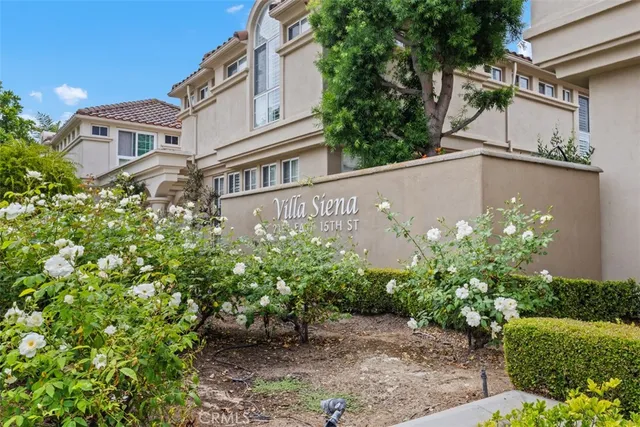 a close up of a potted plants next to a building