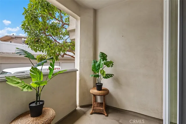 a potted plant sitting in front of a window