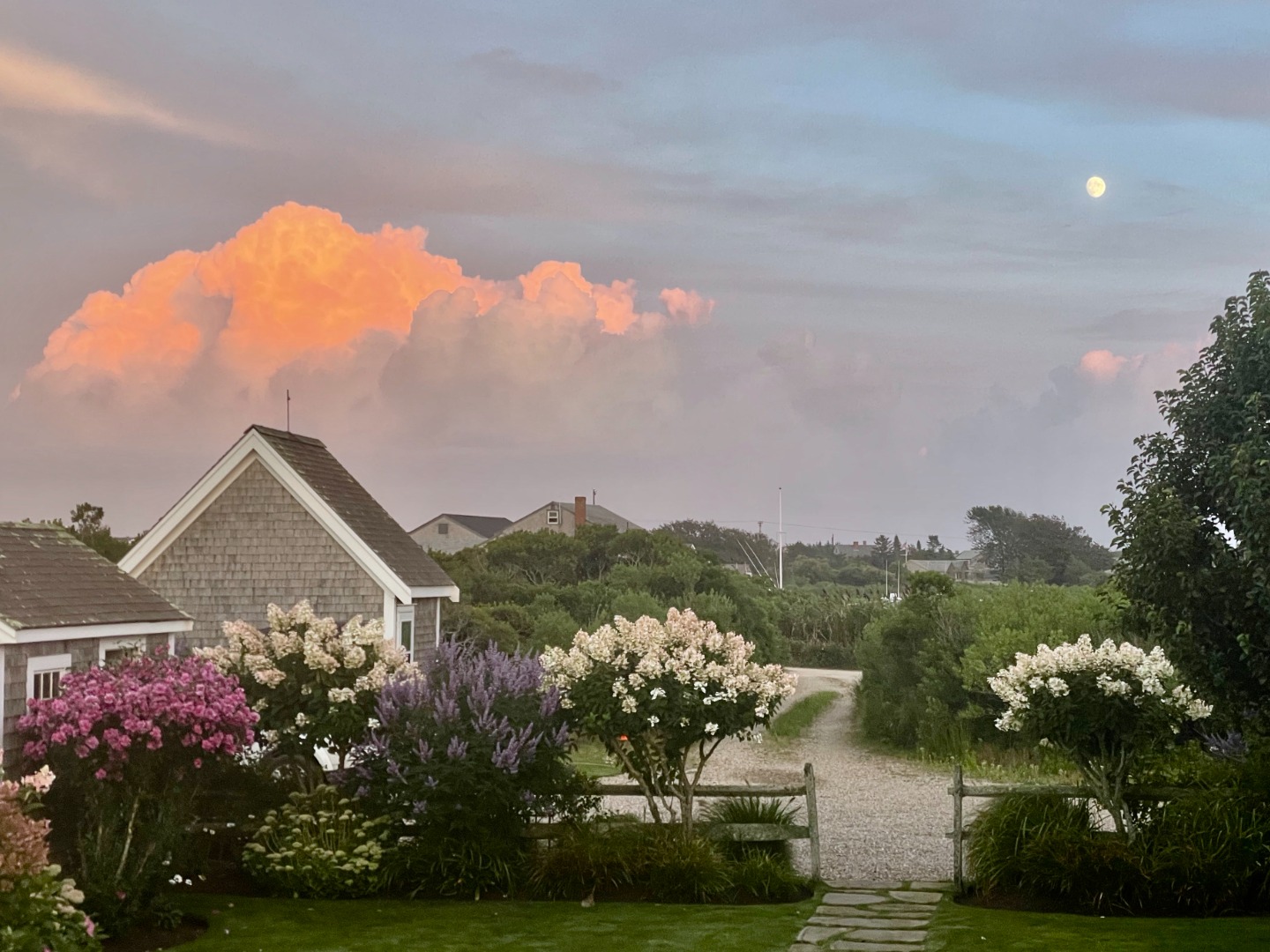 1 Little Neck Way, Unit 1 Nantucket, MA 02554 - Photo 94 of 99 a front view of a house with a yard and mountain view in back