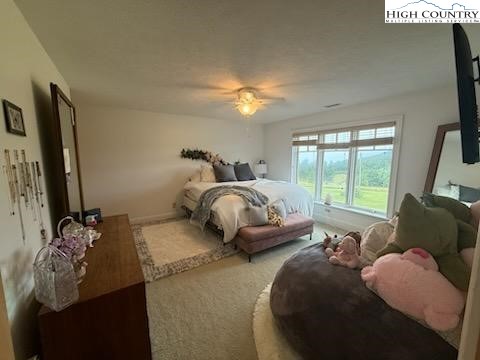 6985 Junaluska Road Boone, NC 28607 - Photo 30 of 49 a bedroom with bed and a flat tv screen