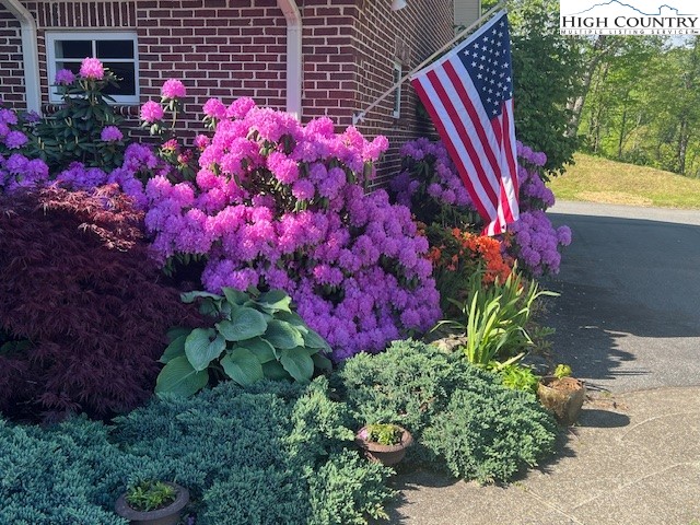 6985 Junaluska Road Boone, NC 28607 - Photo 5 of 49