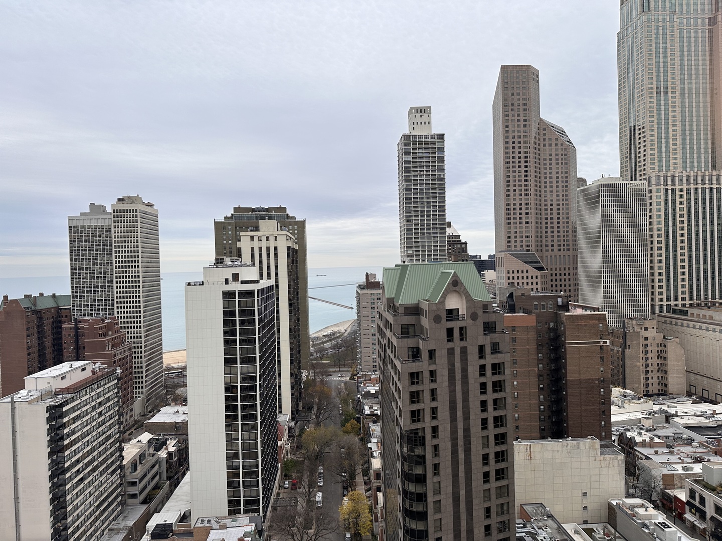 Undisclosed Address Chicago, IL 60610 - Photo 11 of 16 a view of city with tall buildings