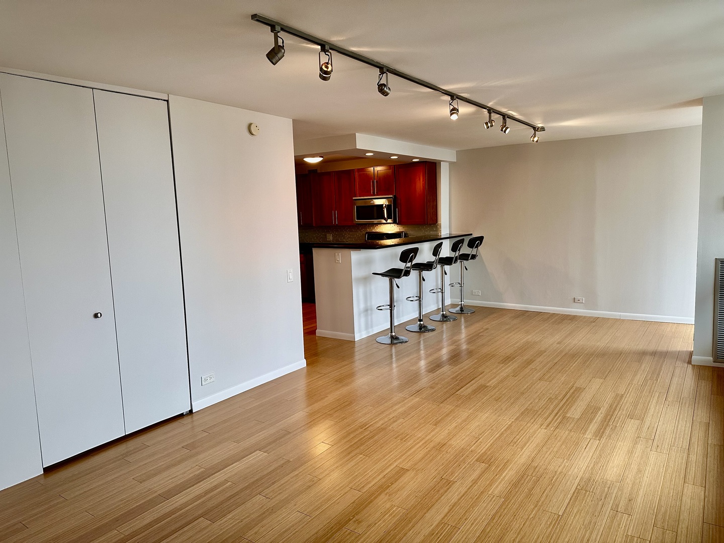 Undisclosed Address Chicago, IL 60610 - Photo 5 of 16 a view of a room with wooden floor a flat screen tv and couches