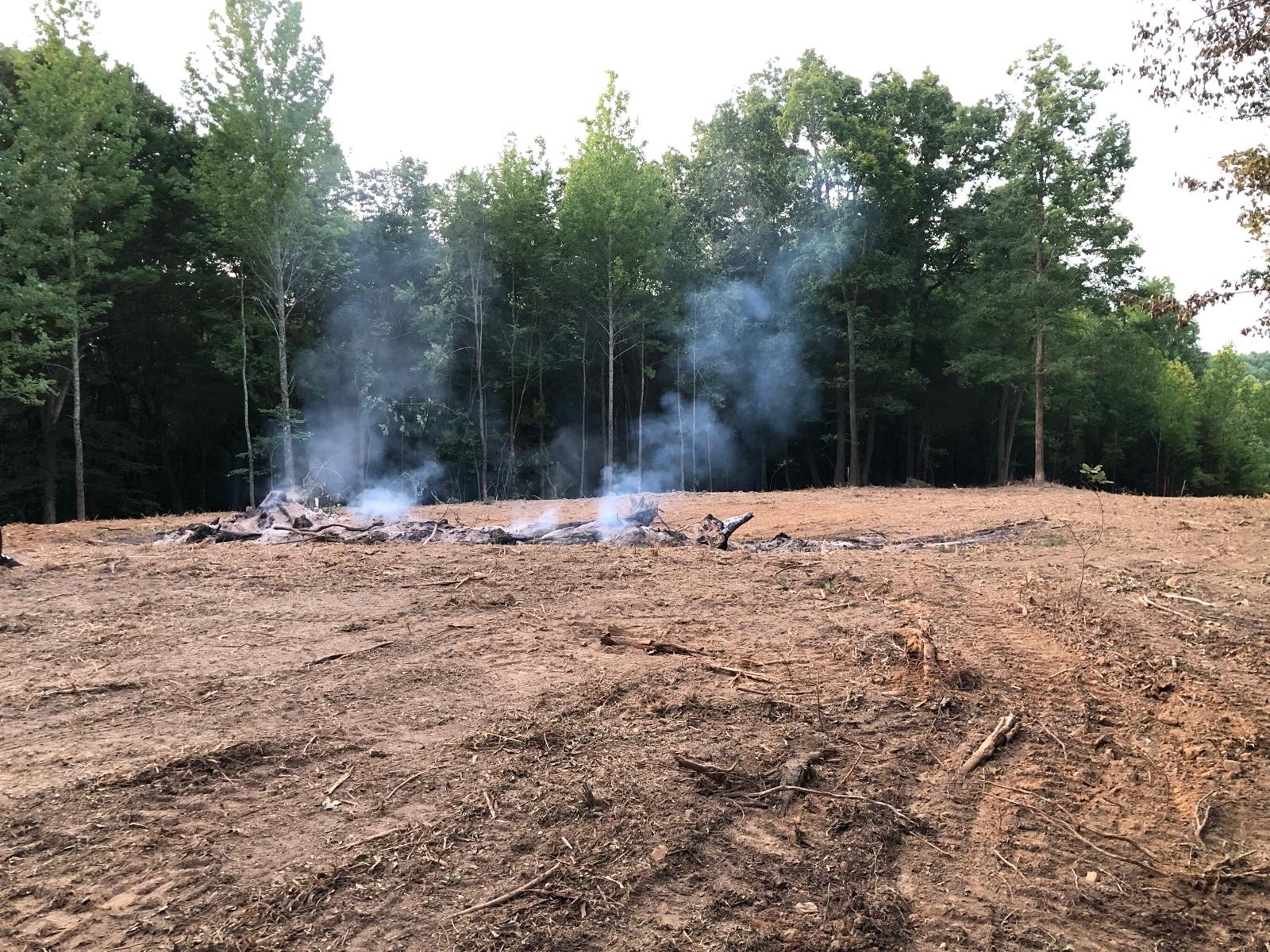 0 Upper Creek Road Vanleer, TN 37181 - Photo 12 of 24 a outdoor space with lots of trees