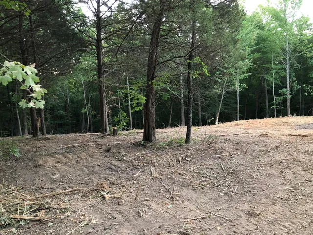 a outdoor space with lots of trees