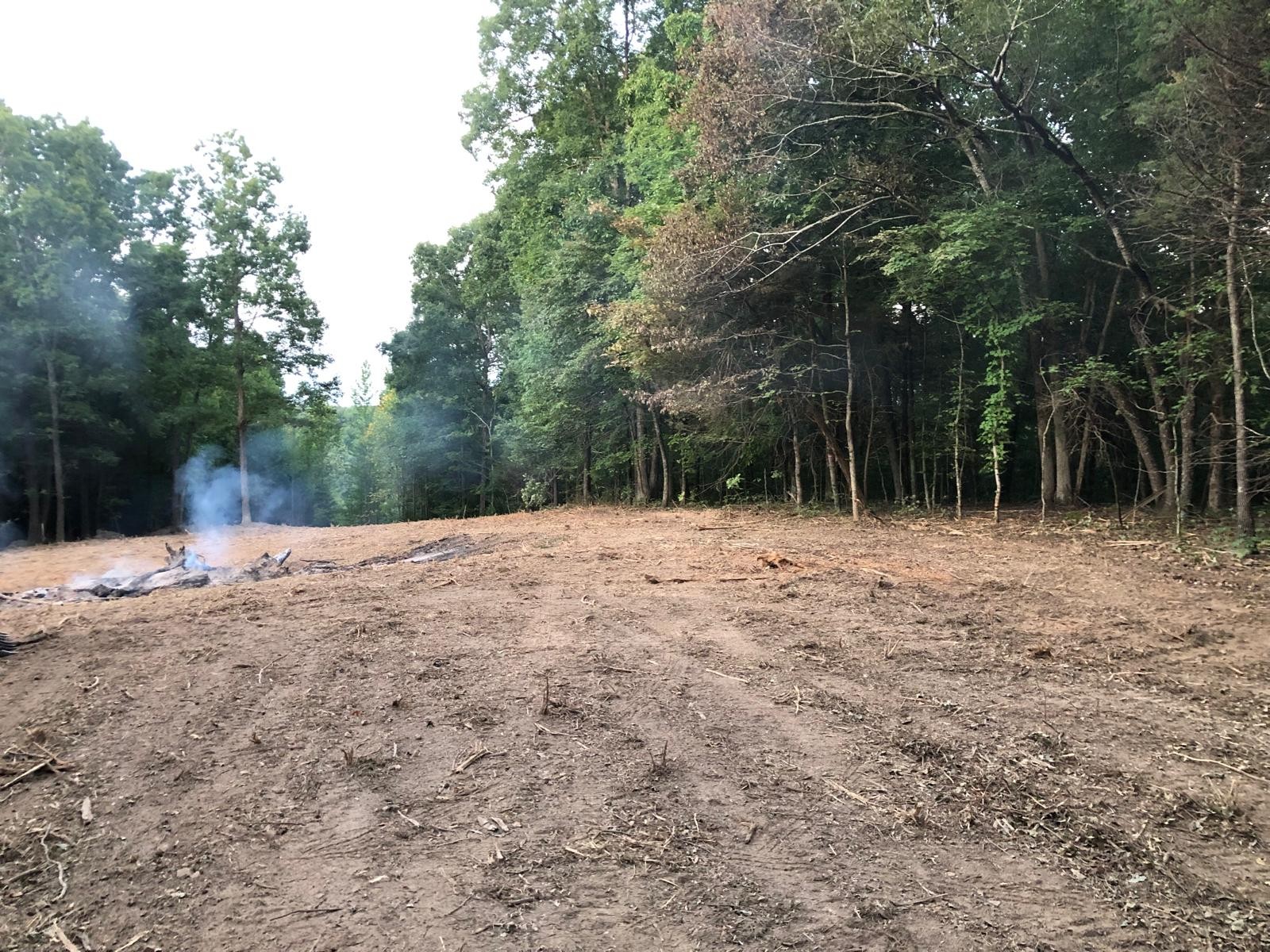 0 Upper Creek Road Vanleer, TN 37181 - Photo 15 of 24 a backyard of a house with large trees