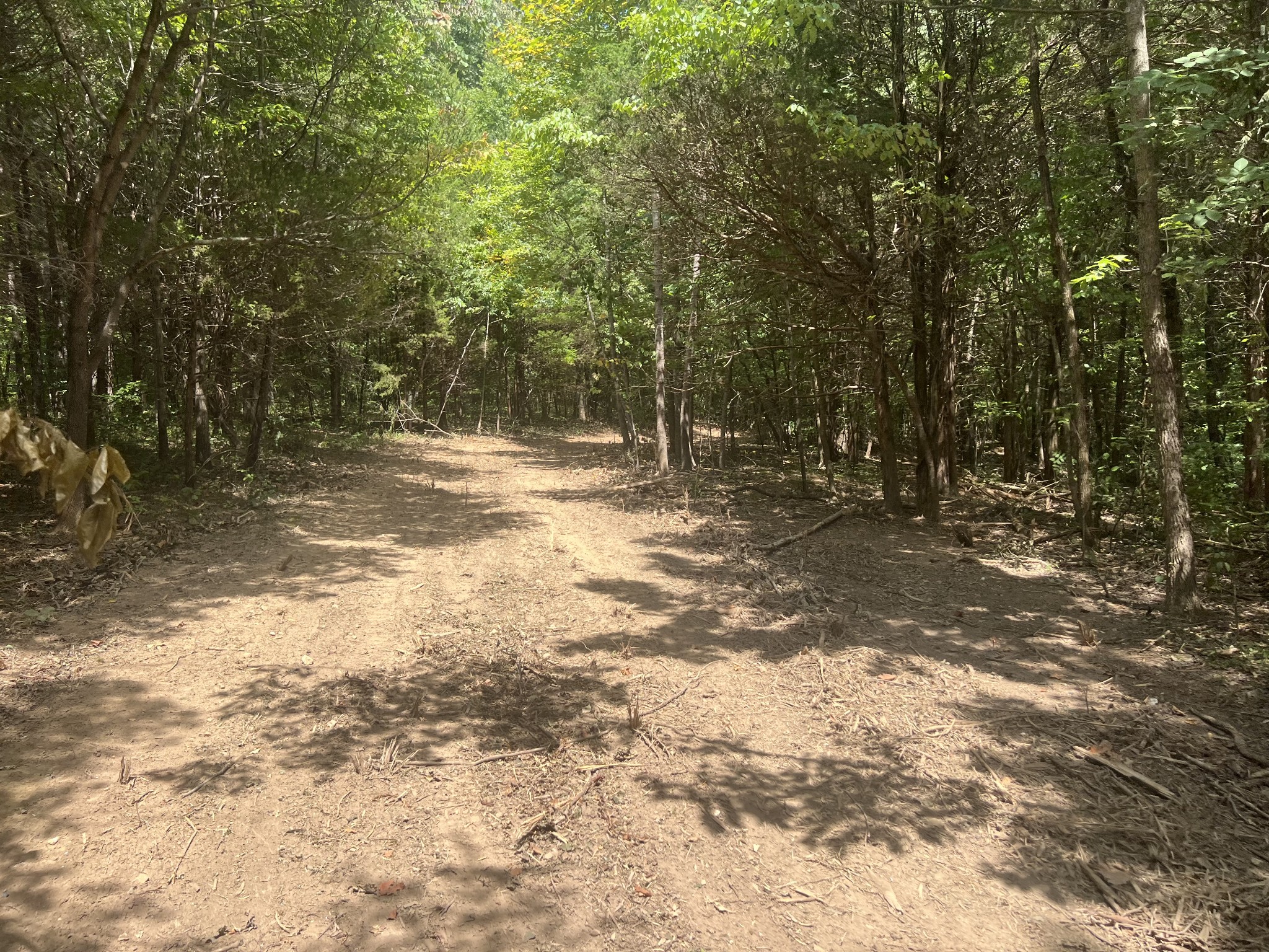 0 Upper Creek Road Vanleer, TN 37181 - Photo 16 of 24 a view of a yard with a tree