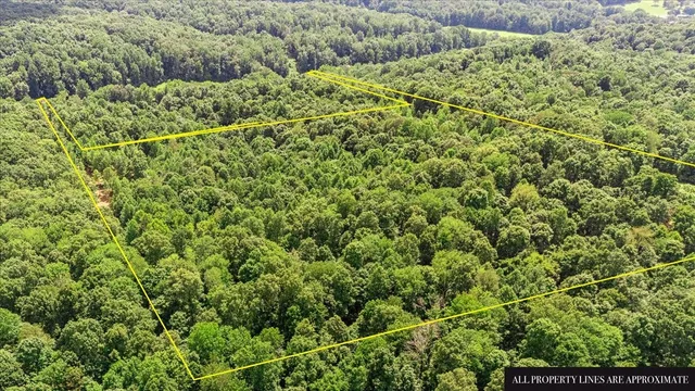a view of a lake with a mountain