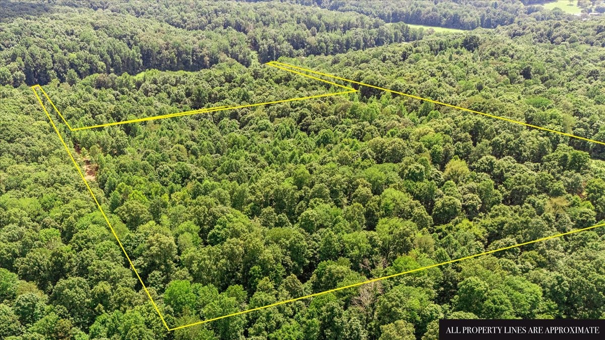 0 Upper Creek Road Vanleer, TN 37181 - Photo 18 of 24