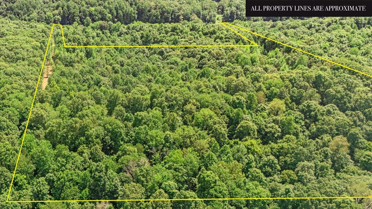 0 Upper Creek Road Vanleer, TN 37181 - Photo 20 of 24