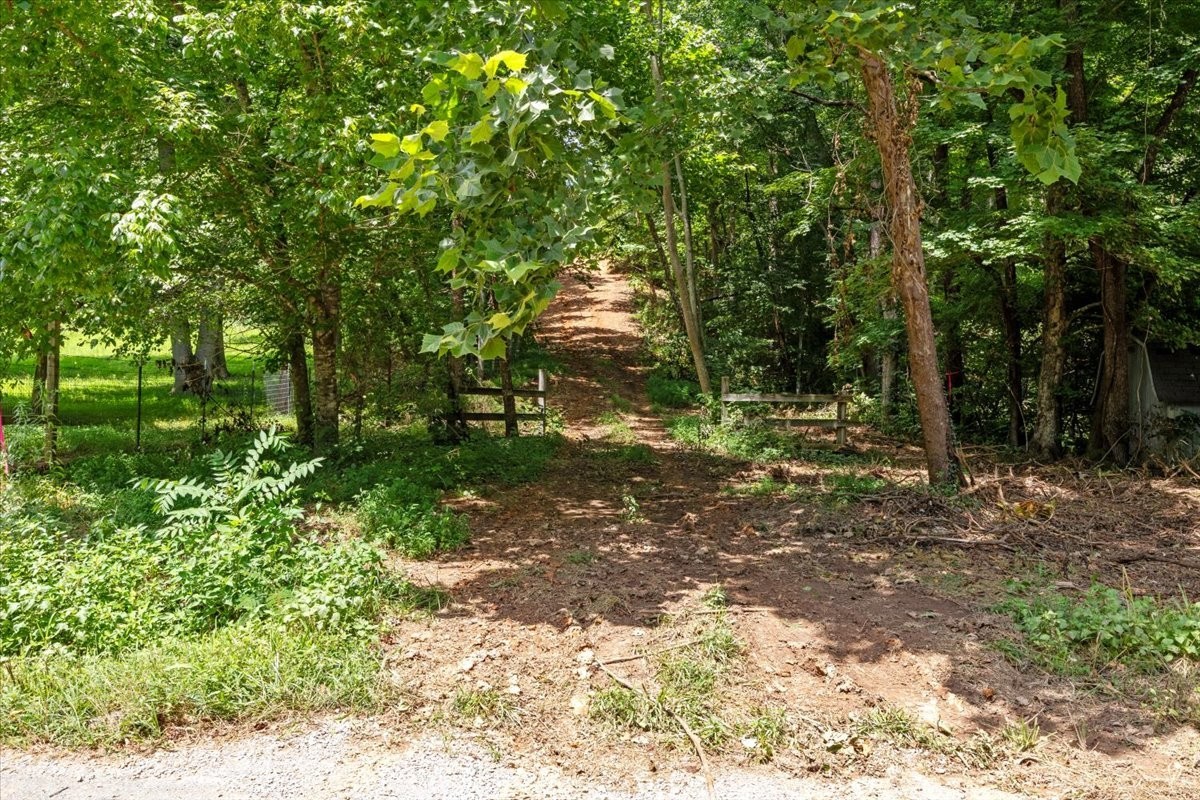 0 Upper Creek Road Vanleer, TN 37181 - Photo 2 of 24 a backyard of a house with lots of green space