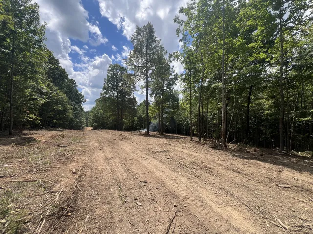a view of outdoor space and yard