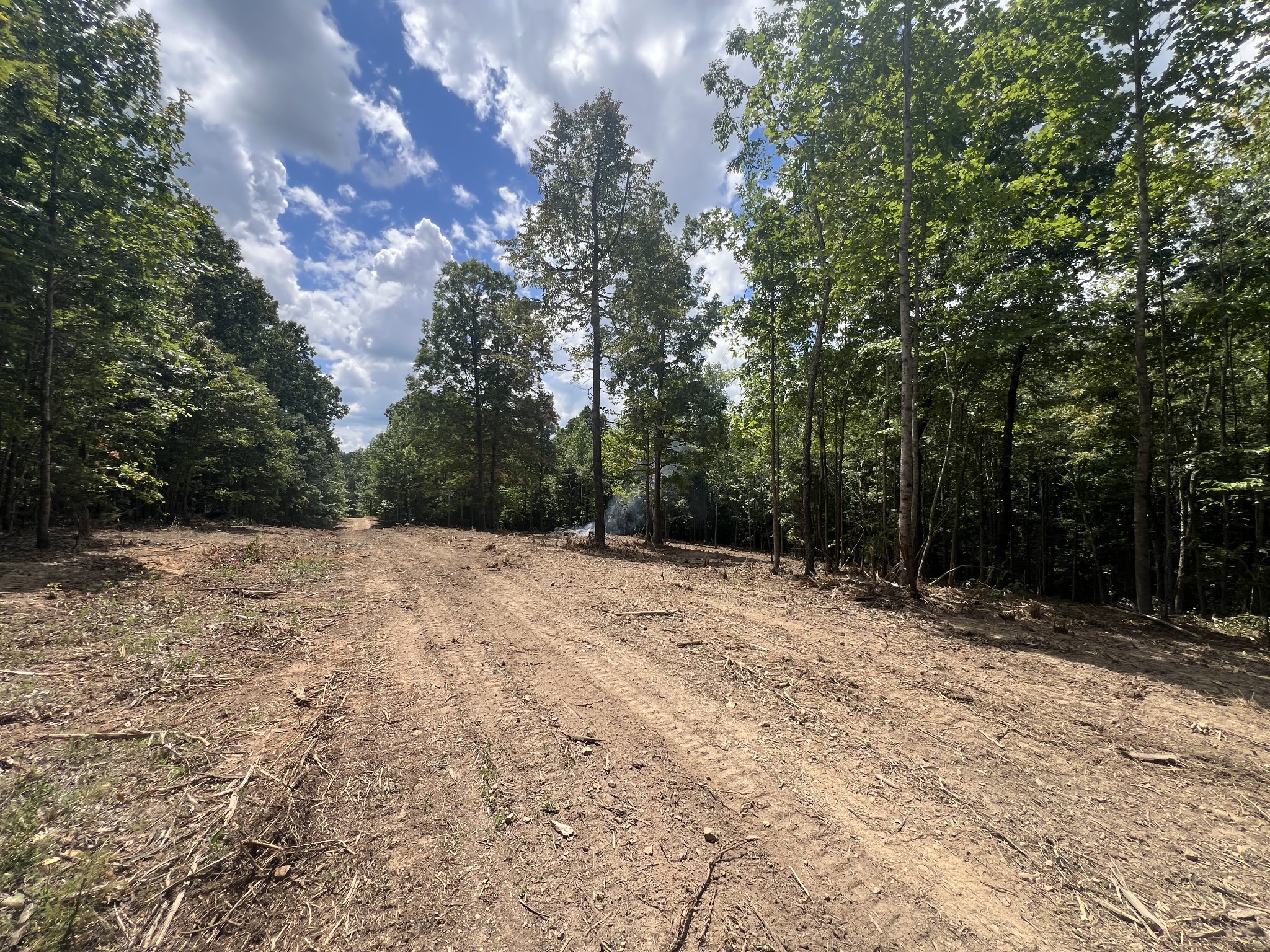 0 Upper Creek Road Vanleer, TN 37181 - Photo 4 of 24 a view of outdoor space and yard
