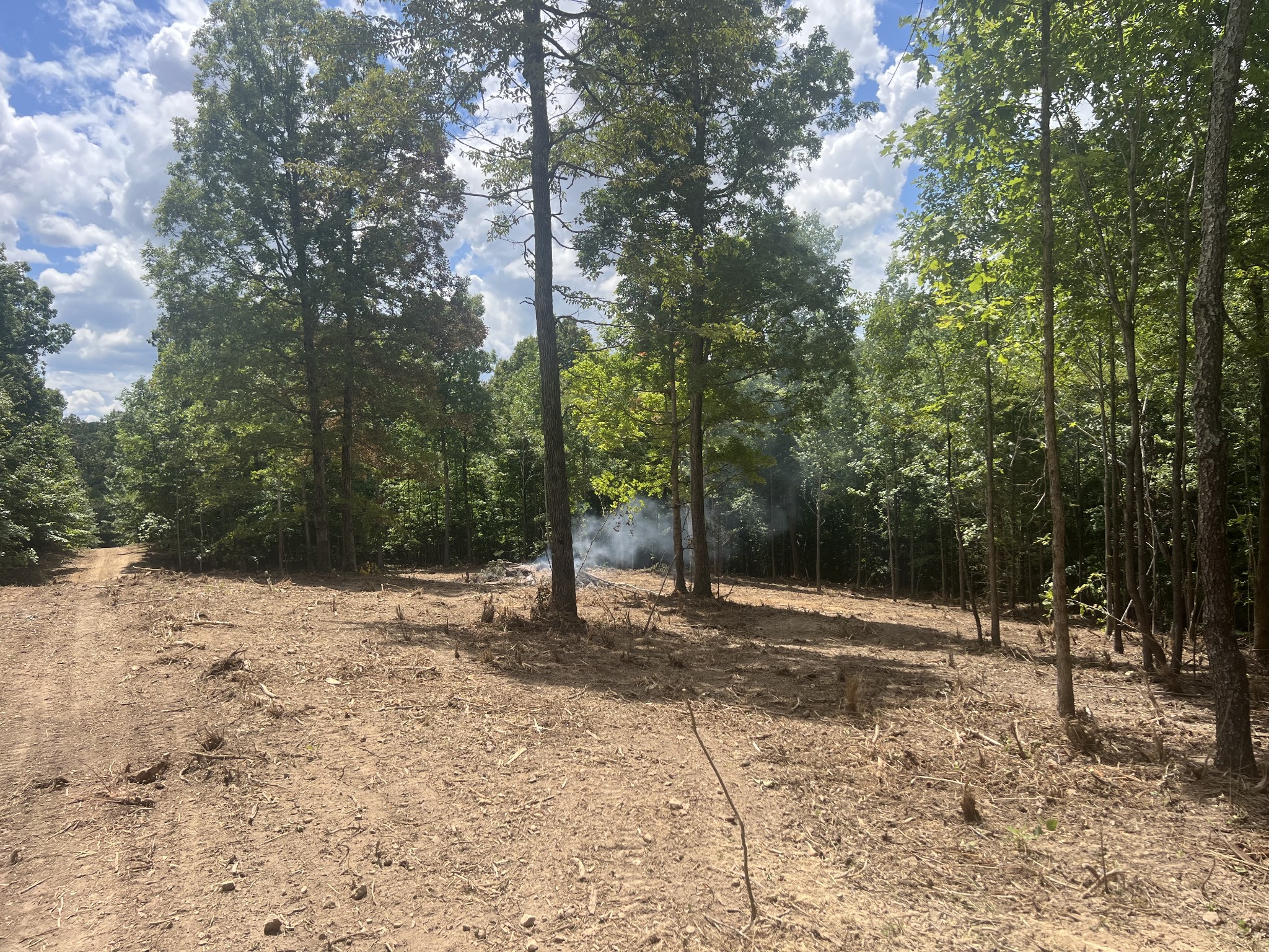 0 Upper Creek Road Vanleer, TN 37181 - Photo 4 of 24 a view of a yard with trees