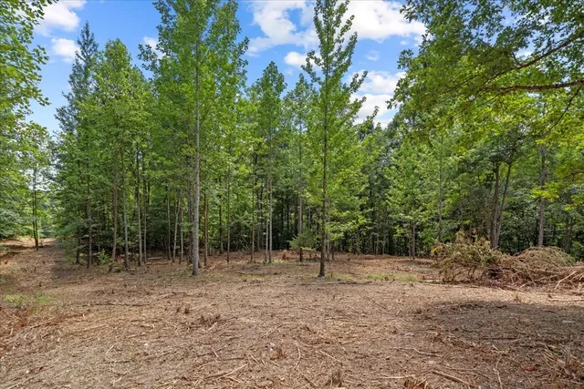 a view of outdoor space with trees