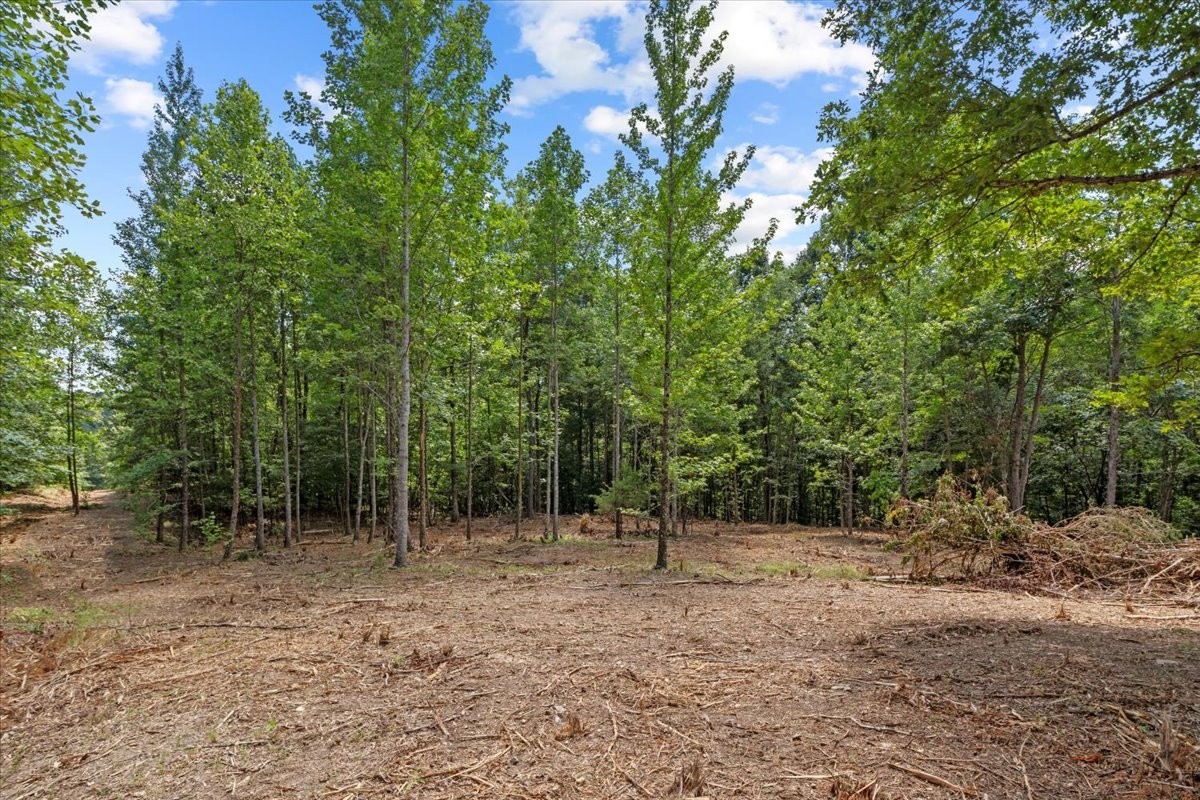 0 Upper Creek Road Vanleer, TN 37181 - Photo 5 of 24 a view of outdoor space with trees
