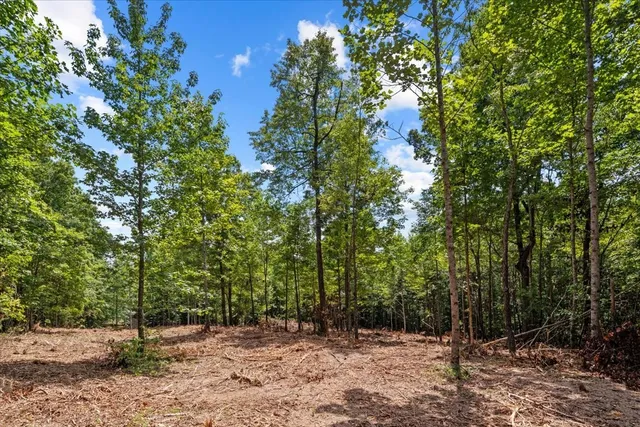 a view of outdoor space with trees