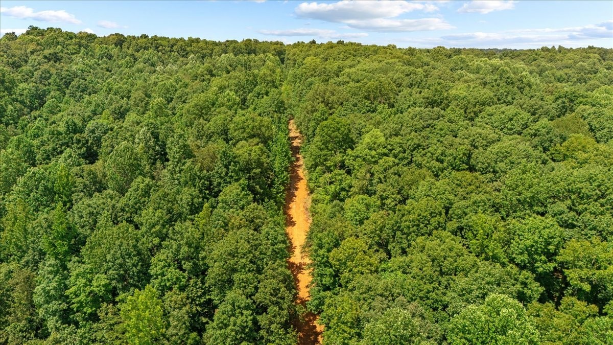 0 Upper Creek Road Vanleer, TN 37181 - Photo 9 of 24 a view of a large yard with plants and large trees