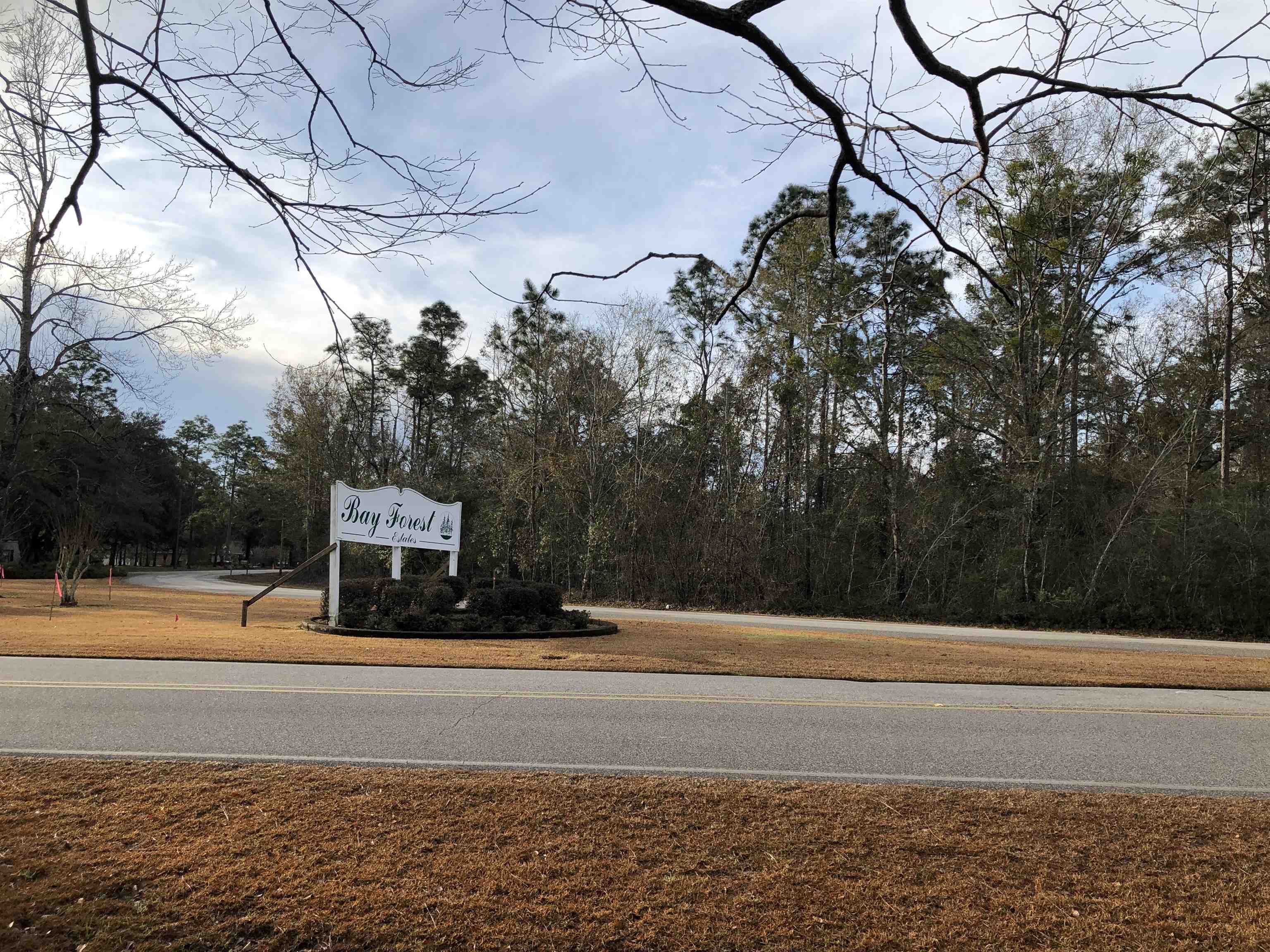 0 Forest Drive Foley, AL 36535 - Photo 3 of 5