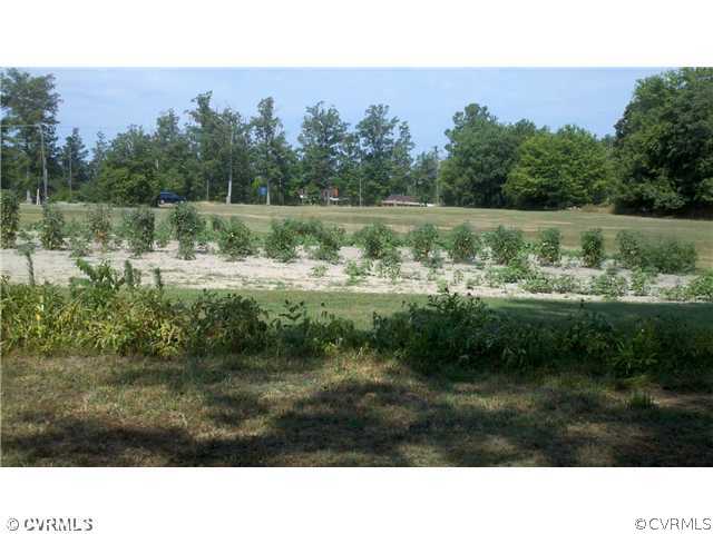 5101 Claypoint Road Midlothian, VA 23112 - Photo 3 of 4 Yard/Garden