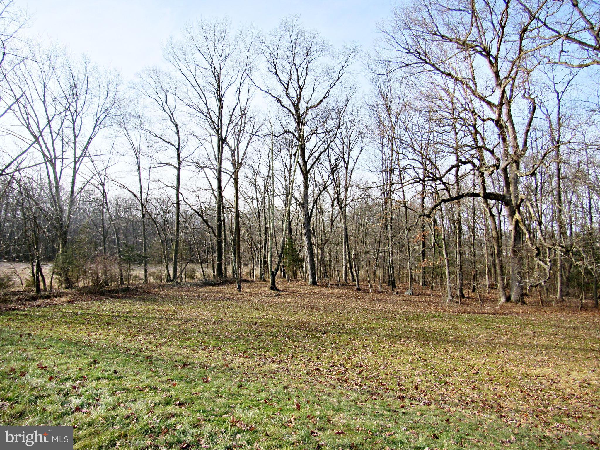 1448 Highway 113 Perkasie, PA 18944 - Photo 6 of 22 Gallery Image 6