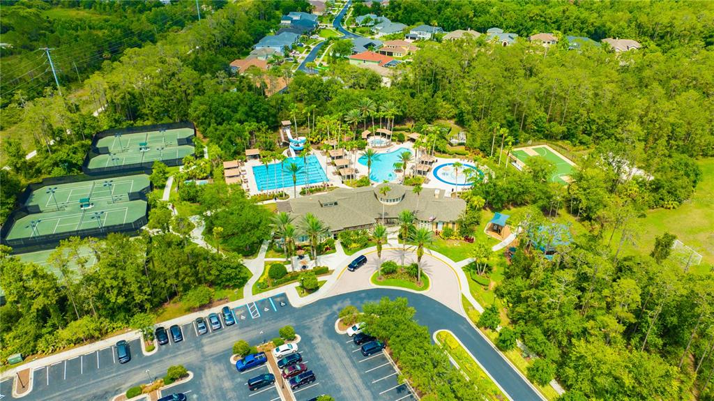 2409 Spring Hollow Loop Wesley Chapel, FL 33544 - Photo 32 of 47 a view of outdoor space yard and swimming pool